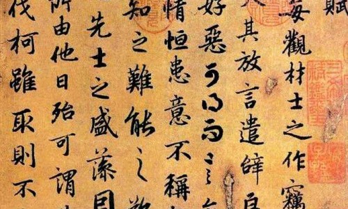 三七原药材价格走势-权威三七的价格平台,分享专业三七原药材价格多少知识_三七原药材价格网
