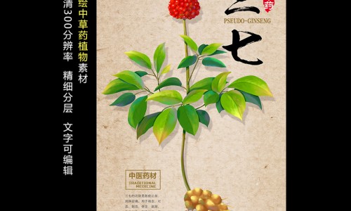 三七市价-权威三七的价格平台,分享专业三七原药材价格多少知识_三七原药材价格网