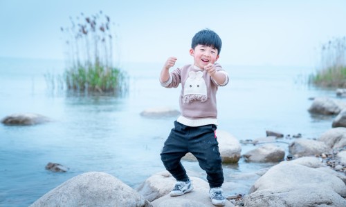 权威三七的价格平台,分享专业三七原药材价格多少知识_三七原药材价格网